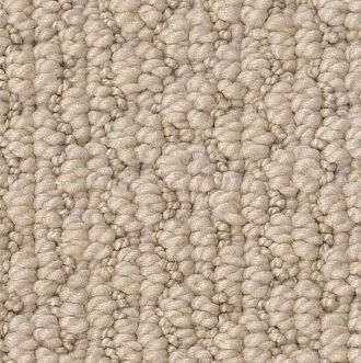 Anderson Tuftex carpet 1 square - Hadinger Flooring