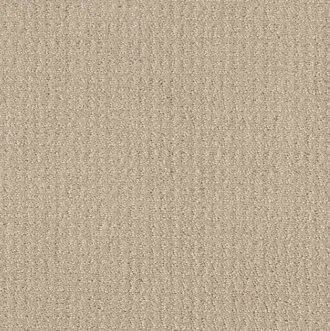 Shaw Carpet square - Hadinger Flooring
